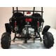 BUGGY 110 cc