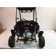 BUGGY 110 cc