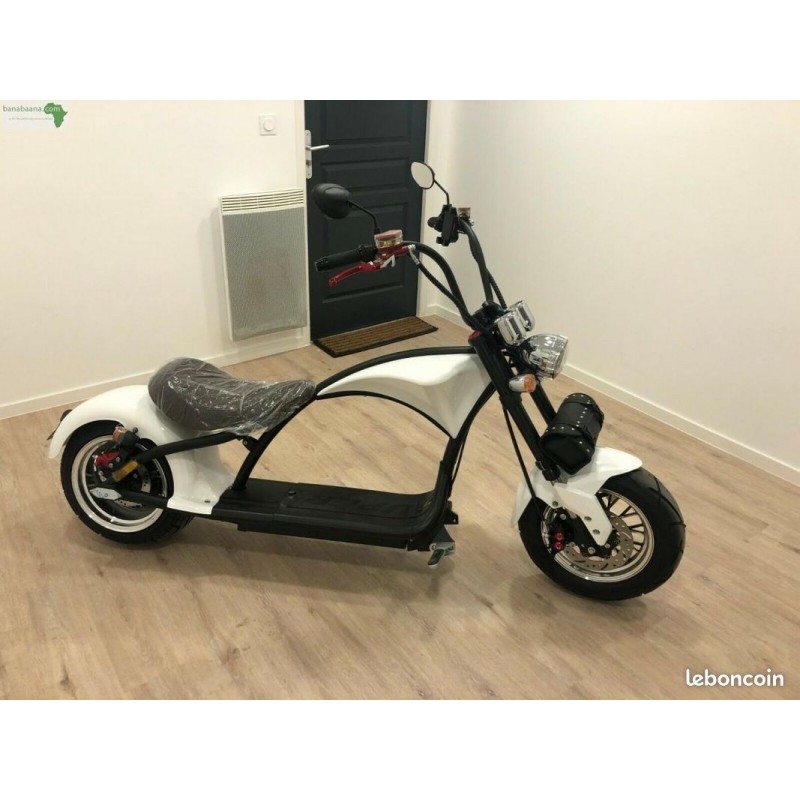https://planetemotors.fr/3735-thickbox_default/scooter-electrique-citycoco-homologue-route.jpg