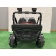BUGGY ELECTRIQUE TÉLÉCOMMANDÉ SPIDERMAN