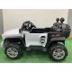 Voit Elec Buggy polaris télécommandé Cartoon
