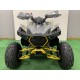 Quad enfant 125 cc Warrior 8P