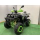 QUAD 200cc WARRIOR PRO RACING
