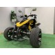 Quad 250cc Speedbird