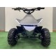 QUAD 50 PYTHON DELUXE 6 XL DEMARREUR ÉLECTRIQUE
