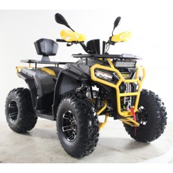QUAD 200cc  XL WARRIOR PRO RACING