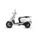 SCOOTER 50 TNT-MOTOR YOLO 12" XXL
