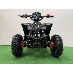 QUAD 50 RAPTOR DELUXE XL  6